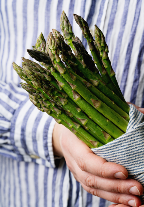 Asperges kweken? Zaden kopen doe je op KoopZaden.nl! Asperges kweken? Zaden kopen doe je op KoopZaden.nl!