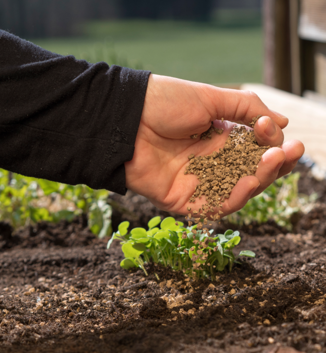 Moestuinbenodigdheden kopen doe je op KoopZaden.nl!