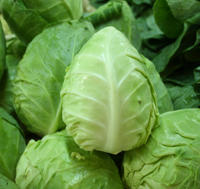 Voeg spitskool toe aan je moestuin. Zaden kopen doe je op KoopZaden.nl!