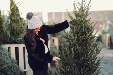 Hoe kies ik de juiste kerstboom