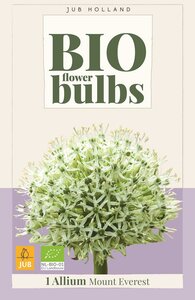 Bio allium mount everest 1 bol - afbeelding 1