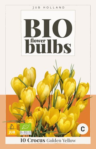 Bio Krokus golden yellow 10 bollen - afbeelding 1
