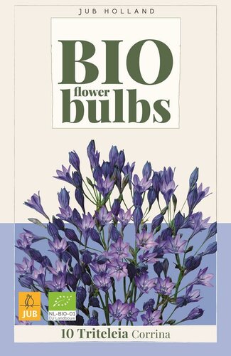 Triteleia corrina 10 bollen - afbeelding 1