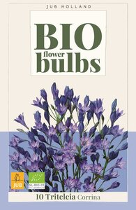 Triteleia corrina 10 bollen - afbeelding 1