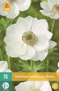 Anemoon coronaria bride 15 bollen - afbeelding 1