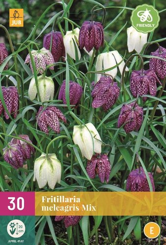 Fritillaria meleagris mix 30 bollen - afbeelding 1