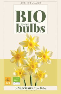 Bio narcis New Baby 5 bollen