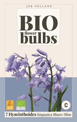 Bio Hyacinthoides hispanica blauw 7 bollen - afbeelding 1