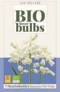 Bio Hyacinthoides hispanica wit 7 bollen - afbeelding 1