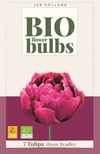 Bio tulp Alison Bradley 7 bollen