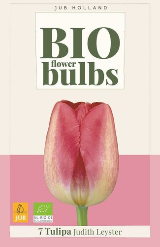 Bio tulp Judith Leyster 7 bollen