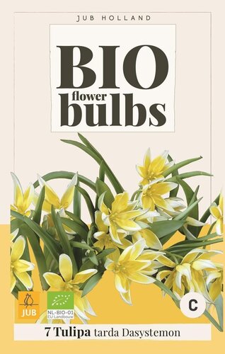 Bio tulp dasystemon tarda 7 bollen - afbeelding 1