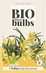 Bio tulp dasystemon tarda 7 bollen - afbeelding 1