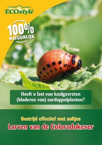 Ecostyle aaltjes tegen coloradokever 10 m² - afbeelding 1
