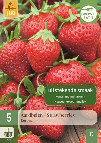 Aardbeienplanten Korona