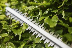 Gardena accu heggenschaar easycut 45 p4a solo - afbeelding 4