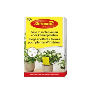 Aeroxon gele insectenval kamerplanten