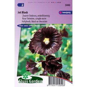 Alcea Rosea stokroos zaden Jet Black