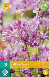 Allium eros 10 bollen