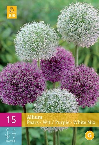 Allium paars & wit mix 15 bollen