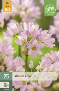 Allium Roseum 25 bollen - afbeelding 1