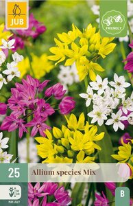Allium species mix 25 bollen