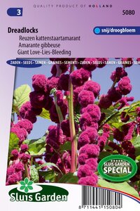 Amaranthus Caudatus zaden Dreadlocks bestellen