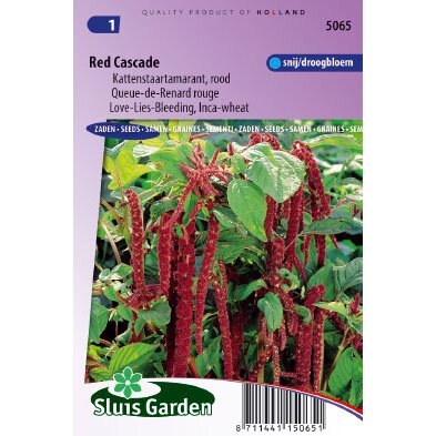 Amaranthus Caudatus zaden Red Cascade