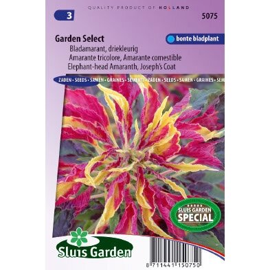 Amaranthus Gangeticus zaden Garden Select