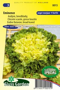 Andijvie zaden eminence bestelt u op koopzaden.nl