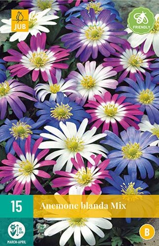 Anemone blanda mix 15 bollen