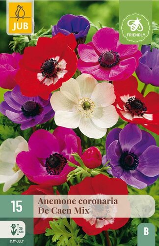 Anemone coronaria de Caen mix - afbeelding 2
