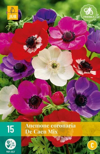 Anemone coronaria de Caen mix - afbeelding 1