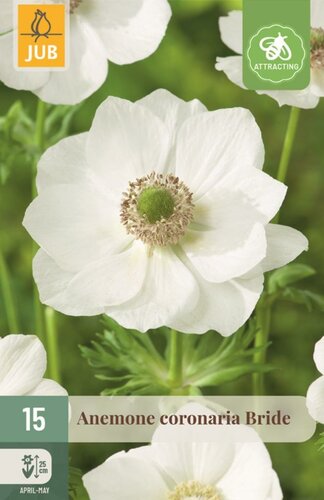 Anemoon coronaria bride 15 bollen - afbeelding 1