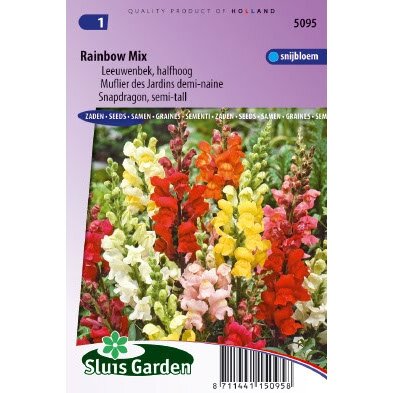 Antirrhinum Majus zaden Rainbow mix Leeuwebek