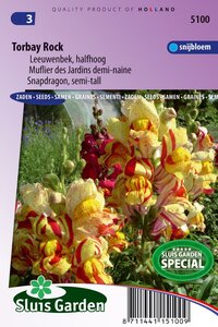 Antirrhinum Majus zaden Torbay Rock leeuwebek