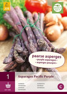 Asperge pacific purple