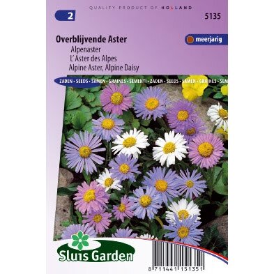 Aster Alpinus zaden Alpenaster Mix