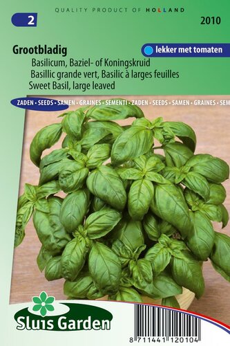 Basilicum zaden grove Ocimum Basilicum