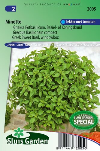 Basilicum zaden Minette Ocimum Basilicum
