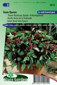 Basilicum zaden Siam Queen online te bestellen