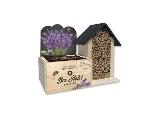 Baza bijenhotel bio lavendel