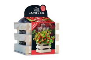 Baza garden box bosaardbei - afbeelding 1
