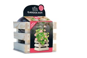 Baza garden box bosaardbei wit - afbeelding 1