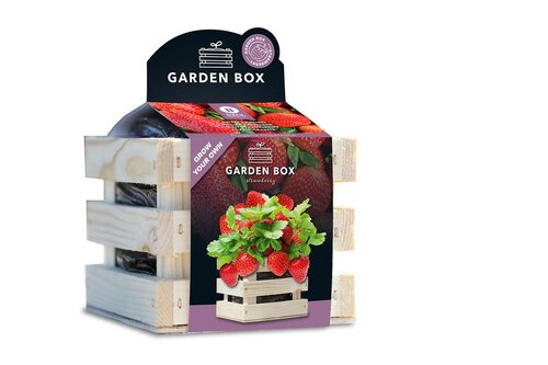 Baza garden box reuze aardbei - afbeelding 1