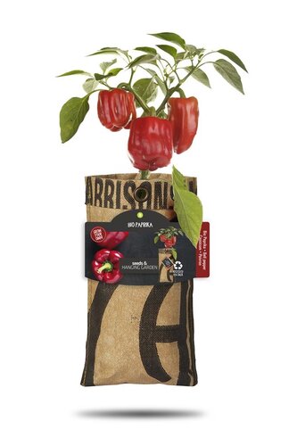 Baza hangtuintje bio paprika - afbeelding 2