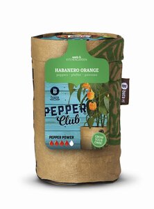 Baza pepperclub habanero orange - afbeelding 1