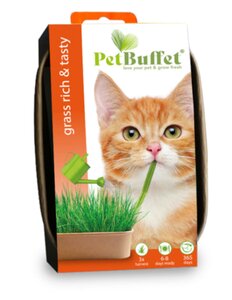 Baza petbuffet rich & tasty poes