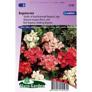 Begonia Semperflorens zaden Choice mix