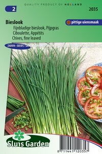 Bieslook fijnbladig zaden